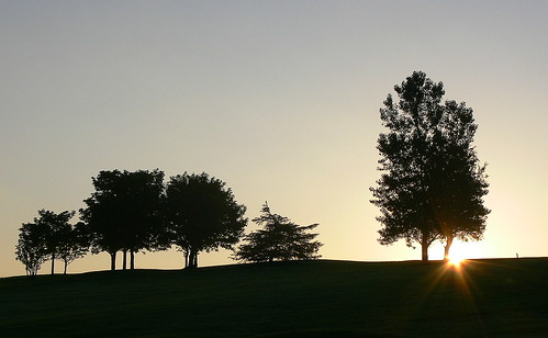 trees sun sunrise mygearandme