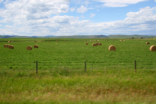 sky green field hay grassland