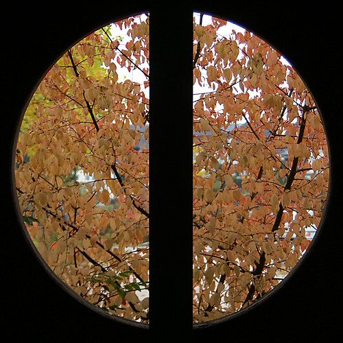 autumn fall window herfst raam iman heijboer imanh