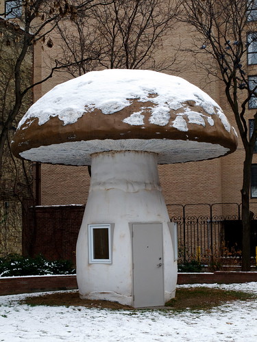 mushroom shed