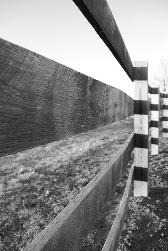 white black fence landscape