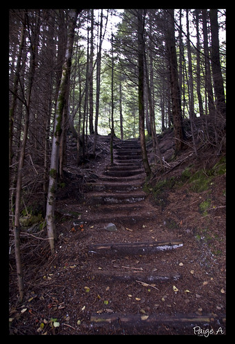 stairs forest bc path kitimat