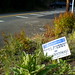vacant lot for sale in lake oswego, oregon   DSC01696