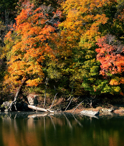 autumn oklahoma ozarks spavinawcreek flickrclassique