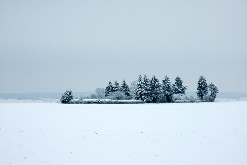 schnee trees winter snow landscape geotagged property landschaft bäume tannen firtrees grundstück oberschwaben geo:lat=4824221 geo:lon=9897416