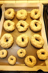 buckwheat bagels before boiling and baking    MG 1666 