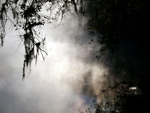 camping mist nature water fog sunrise outdoors flora springs freshwater ginniesprings