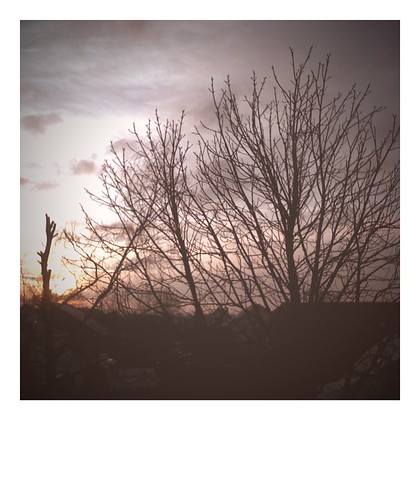 winter contrast sunrise polaroid camerabag iphone projekt365 besimmazhiqi