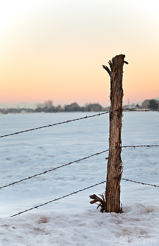 morning sunset mist snow cold field sunrise fence outdoors wire barbedwire