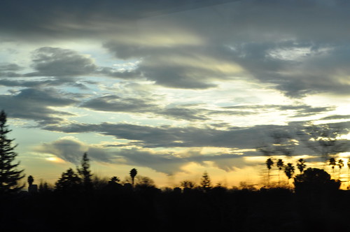 california trees sunset unitedstates fairfield eyefi