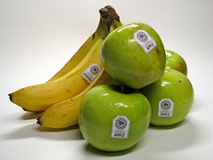 DHARMA Initiative Apples and Bananas