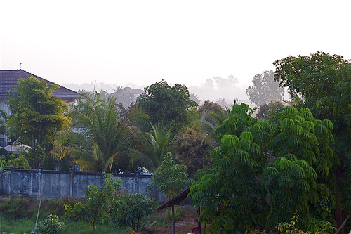 trees fog sunrise canon laos vientiane betterthangood