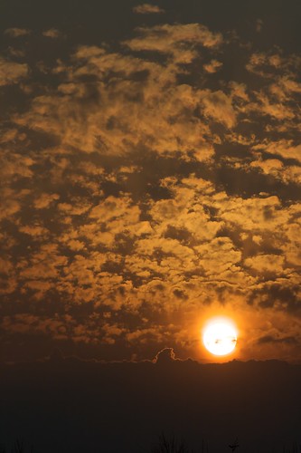 sunset sun nature clouds denmark odense tusindårsskoven sanderum