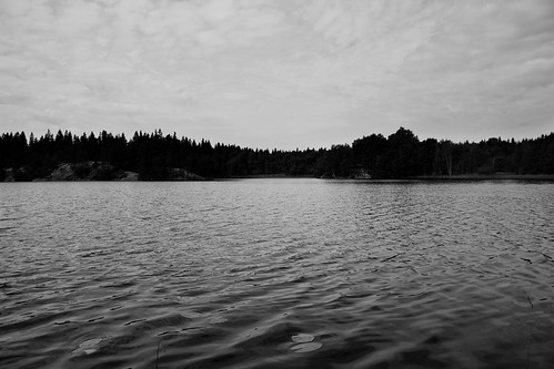 travel bw lake forest landscape blackwhite sweden blekinge canonefs1785mmf456isusm galtsjön