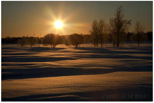 winter sunset snow branches lapland lumi talvi ilta lappi luonto auringonlasku kaupunki eavening puut tornio oksat golfkenttä suensaari ikithule