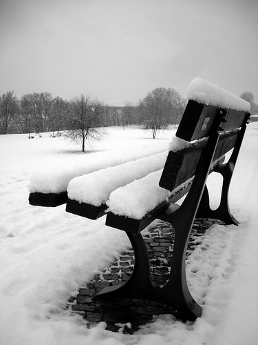 bw snow river bench blackwhite ticino fiume sidewalk neve bianco nero pavia panchina