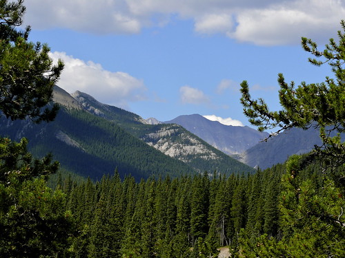 trees sky canada mountains clouds forest woods top scenic rocky peak alberta rockymountains distant canadianrockies