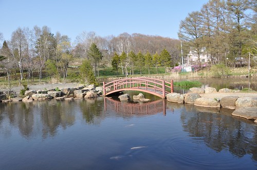 bridge fish japan spring pond nikon hokkaido roadtrip koi goldenweek d90 nikond90