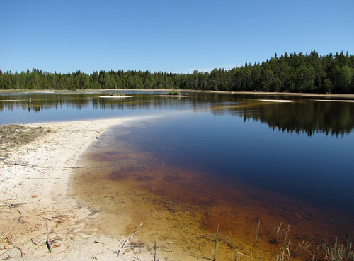 sweden may 2009 kalk jämtland maj rödön lavsjön blekesjö fågellokal