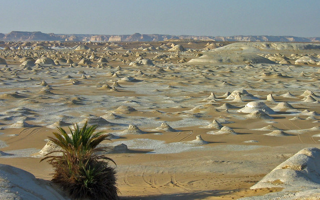 Las maravillas del desierto del Sahara 3277797579_2e030eaa45_z