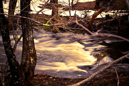 river book stream brook icewaterspringmaine