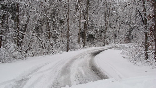 road winter snow storm cold tree ice slick frost country indiana corydon harrisoncounty valleyviewroad