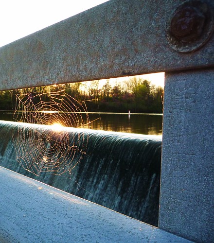 park bridge ohio lake london spider state dam web madison cheseldine