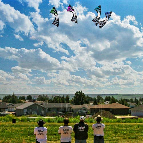 canada celebrity field festival fun flyer wind kites saskatchewan swiftcurrent windscape iquad davidhathaway johnbarresi stevederooy toddrudolph