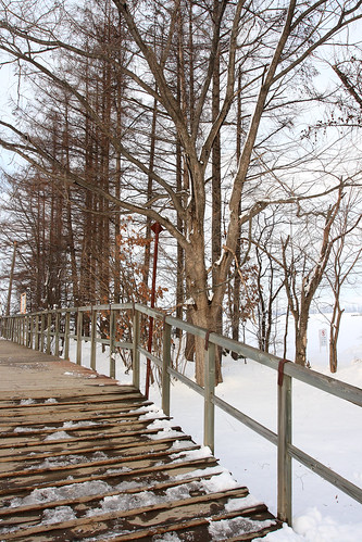winter snow tree station japan landscape photo railway sunny 北海道 日本 gps canonef1740mmf4lusm 帯広 canoneoskissx