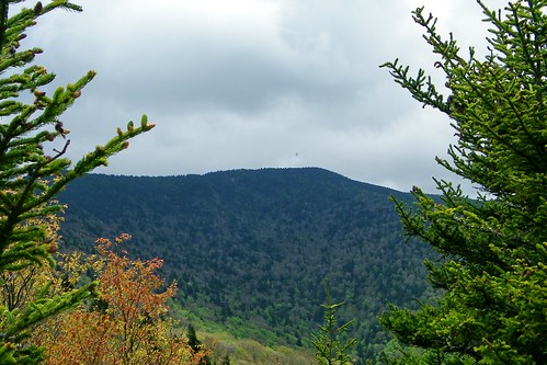 mountain appalachian roan beartown
