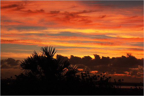 sunrise scenic mozambique