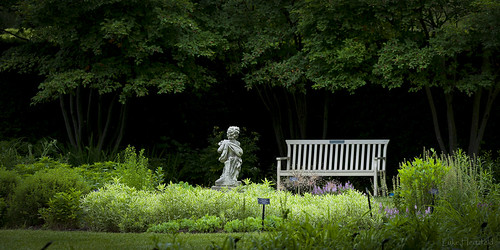 trees light flower statue garden bench botanical outdoors spring diffuse shaded toledoohio toledobotanicalgardens