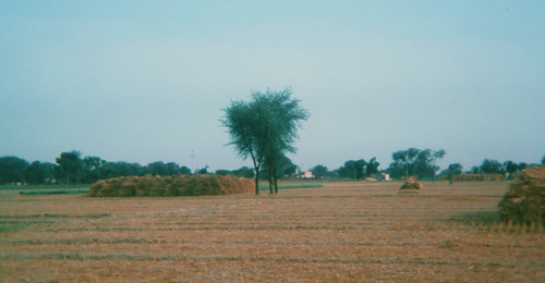 india punjab