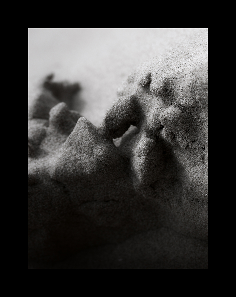 Macro Sand by Nicholas M Vivian