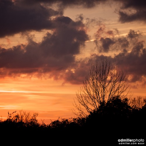 trees sunset sky cloud tree silhouette clouds canon twilight florida dusk 11 squared pensacola 40d