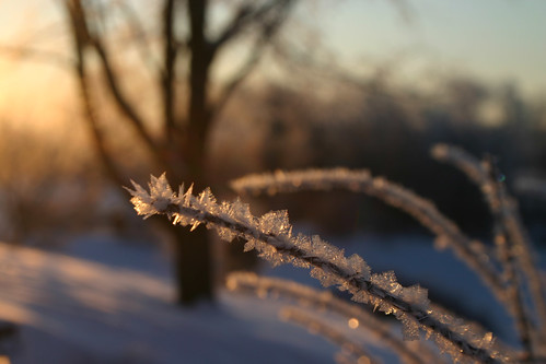 snow sunrise frost glow stonemeadow