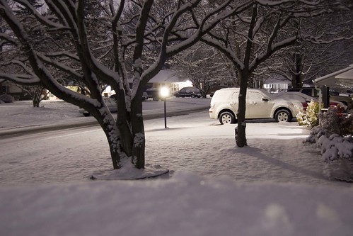 snow night january 2009