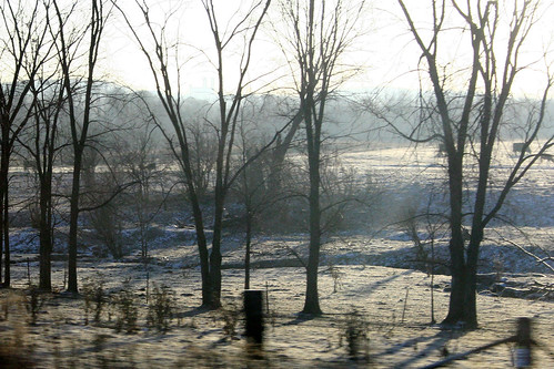 trees field wisconsin sunrise frost falls chippewa