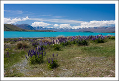 Vista del Lago Tekapo en Otago, Nueva Zelanda