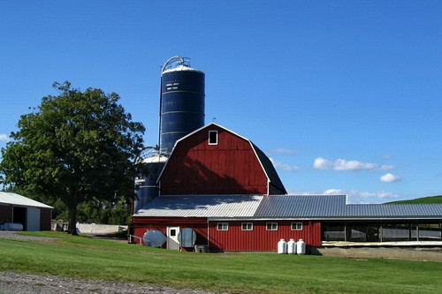 family blue red summer sky usa house ny newyork building tree green clouds barn rural america countryside us milk tank unitedstates farm country farming barrel cottage upstate storage silo american warsaw production empirestate perry milking streetview wyomingcounty 20a 14530 suckerbrook townofperry stateroute20a countrysideunitedstates