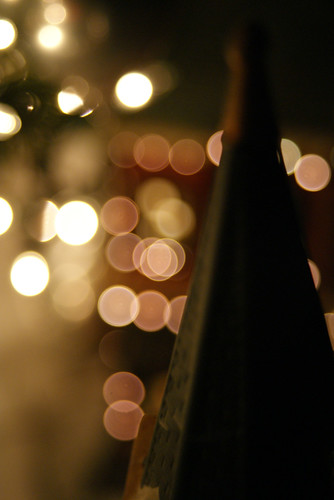 méxico arbol navidad luces casa punta coyoacan diciembre ciudaddeméxico chicotown