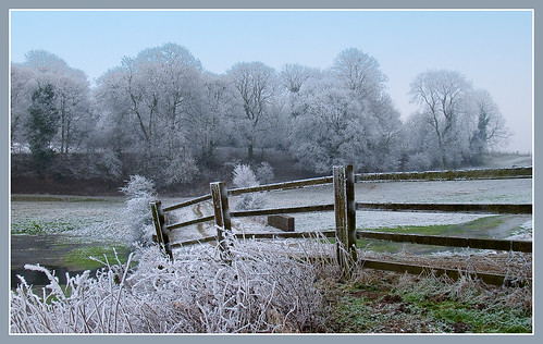 uk trees winter england water fence landscape countryside frost eu andover wiltshire collingbourne collingbournekingston