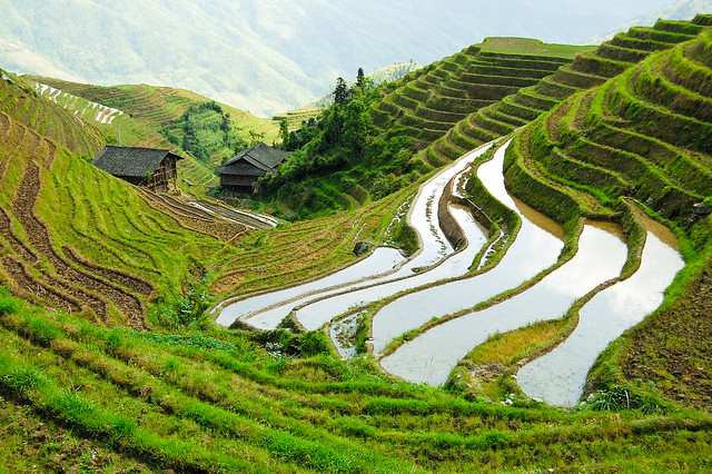 Rice Terraces - a gallery on Flickr