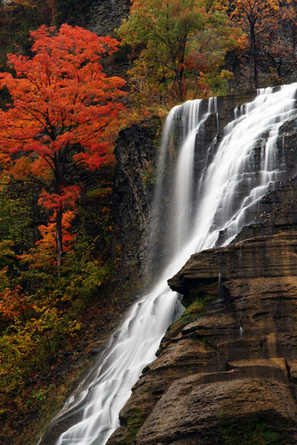 autumn newyork waterfall ithaca ithacafalls platinumphoto october2008