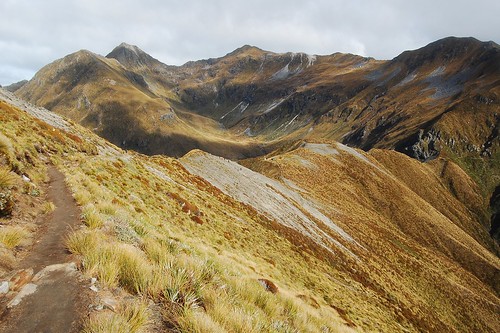 travel newzealand mountains path np aotearoa fiordland greatwalk keplertrack d40 1855mmf3556gii