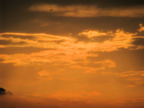 street sunset station clouds port mexico island pier texas gulf mustang aransas