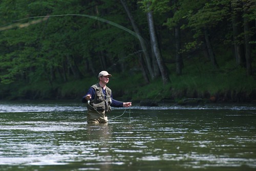 Fly fishing for beginners