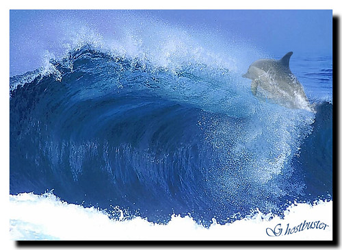 blue sea france mare blu dolphin wave spray francia visualart onde delfino onda ghostbuster schiuma porquerolles spruzzi supershot anawesomeshot citrit goldstaraward “ourmasterpieces sepiolite flickrclassique