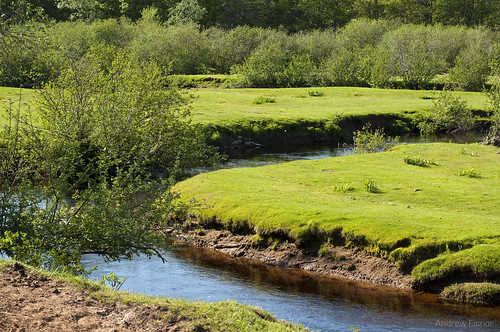 canada river 50mm spring nikon pretty novascotia country meadow farmland fields nikkor annapolisvalley d90 nikkor50mm aylsford nikond90 spring2010 sceneryscenic