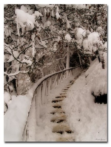 winter huesca invierno pyrénées jaca pirineos pyrenean aragón jacetania goam fotoclubpirineos fotosyfotografsdejaca
